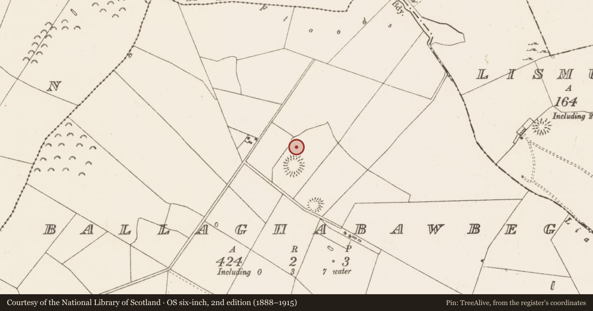 Ordnance Survey six-inch map, 2nd edition (1888–1915) covering the location of Ringfort - rath, Ballaghabawbeg, County Roscommon, with a pin at the register's coordinates