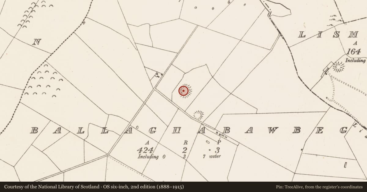 Ordnance Survey six-inch map, 2nd edition (1888–1915) covering the location of Ringfort - rath, Ballaghabawbeg, County Roscommon, with a pin at the register's coordinates