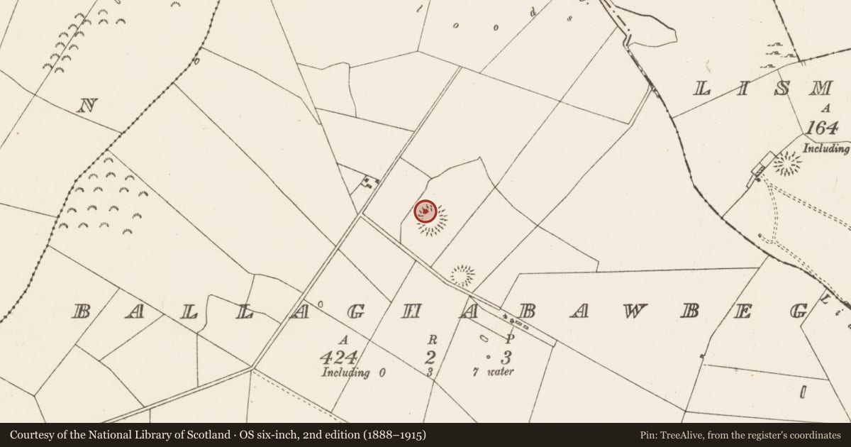 Ordnance Survey six-inch map, 2nd edition (1888–1915) covering the location of Cairn - clearance cairn, Ballaghabawbeg, County Roscommon, with a pin at the register's coordinates