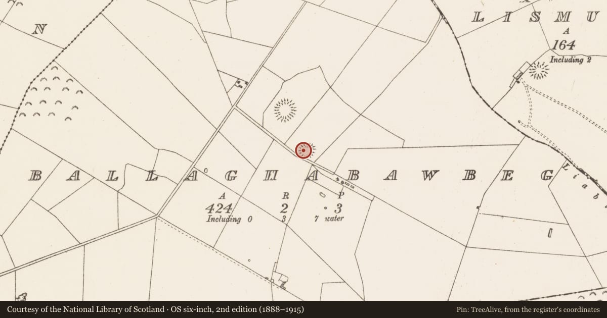 Ordnance Survey six-inch map, 2nd edition (1888–1915) covering the location of Ringfort - rath, Ballaghabawbeg, County Roscommon, with a pin at the register's coordinates