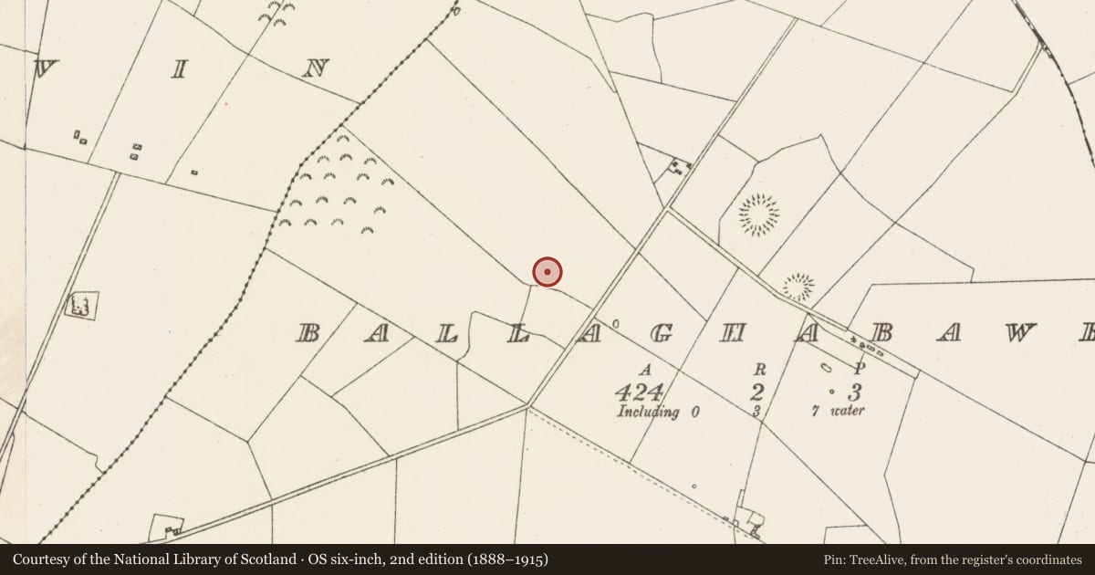Ordnance Survey six-inch map, 2nd edition (1888–1915) covering the location of Field system, Ballaghabawbeg, County Roscommon, with a pin at the register's coordinates