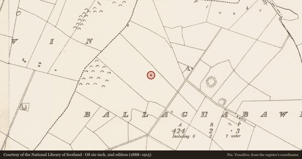 Ordnance Survey six-inch map, 2nd edition (1888–1915) covering the location of Road - road/trackway, Ballaghabawbeg, County Roscommon, with a pin at the register's coordinates