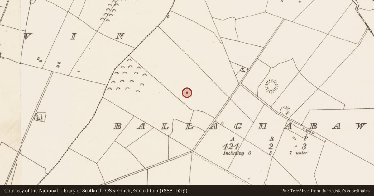 Ordnance Survey six-inch map, 2nd edition (1888–1915) covering the location of Sweathouse, Ballaghabawbeg, County Roscommon, with a pin at the register's coordinates
