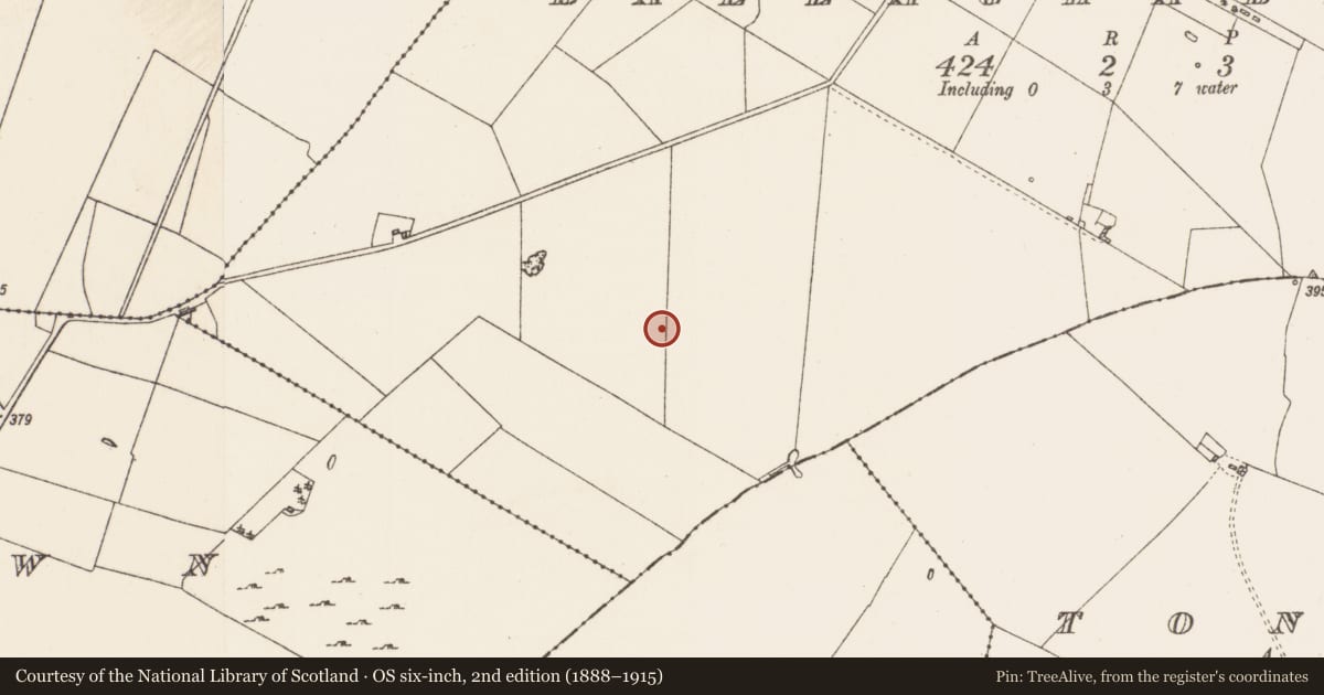 Ordnance Survey six-inch map, 2nd edition (1888–1915) covering the location of Field system, Ballaghabawbeg, County Roscommon, with a pin at the register's coordinates