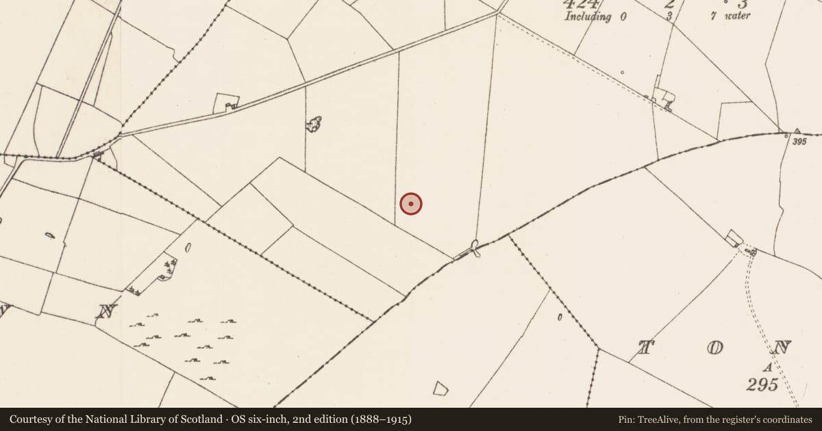 Ordnance Survey six-inch map, 2nd edition (1888–1915) covering the location of Enclosure, Ballaghabawbeg, County Roscommon, with a pin at the register's coordinates