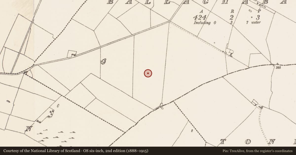 Ordnance Survey six-inch map, 2nd edition (1888–1915) covering the location of Pitfield, Ballaghabawbeg, County Roscommon, with a pin at the register's coordinates