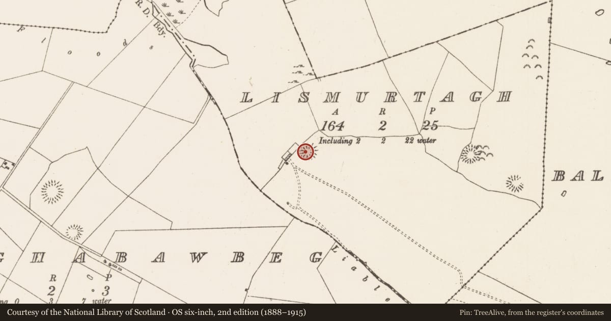 Ordnance Survey six-inch map, 2nd edition (1888–1915) covering the location of Ringfort - rath, Lismurtagh, County Roscommon, with a pin at the register's coordinates
