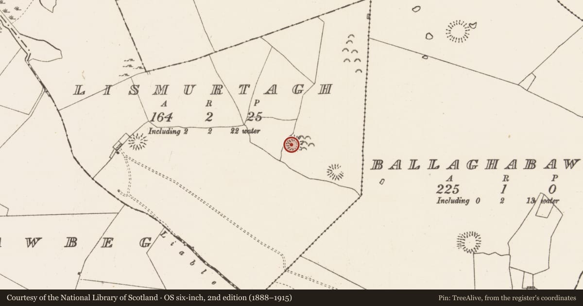 Ordnance Survey six-inch map, 2nd edition (1888–1915) covering the location of Ringfort - rath, Lismurtagh, County Roscommon, with a pin at the register's coordinates