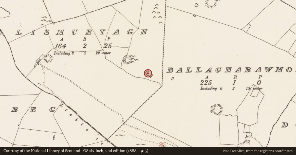 Ordnance Survey six-inch map, 2nd edition (1888–1915) covering the location of Ringfort - rath, Lismurtagh, County Roscommon, with a pin at the register's coordinates