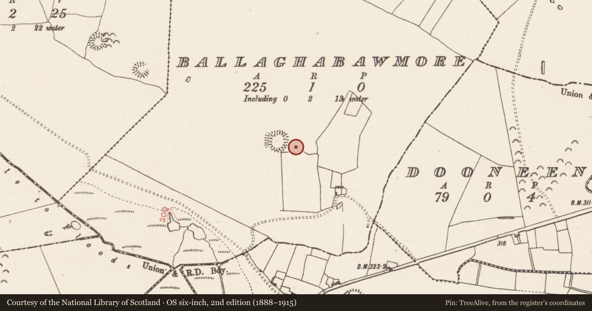 Ordnance Survey six-inch map, 2nd edition (1888–1915) covering the location of Barrow - ring-barrow, Ballaghabawmore, County Roscommon, with a pin at the register's coordinates