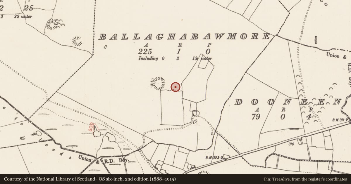 Ordnance Survey six-inch map, 2nd edition (1888–1915) covering the location of Barrow - ring-barrow, Ballaghabawmore, County Roscommon, with a pin at the register's coordinates