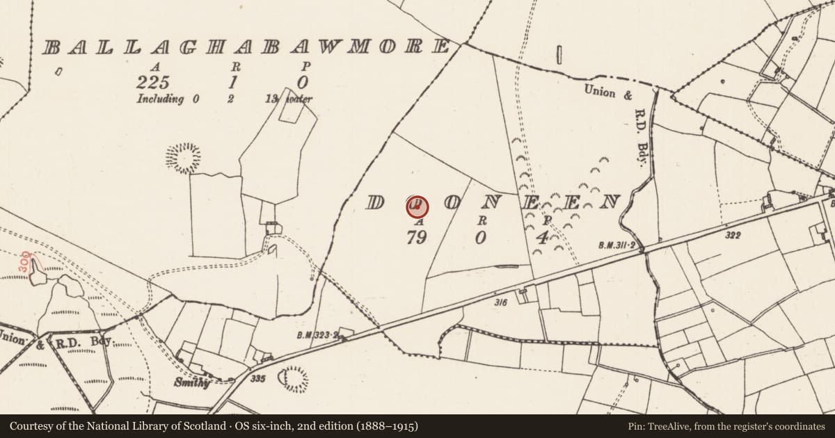 Ordnance Survey six-inch map, 2nd edition (1888–1915) covering the location of Earthwork, Dooneen, County Roscommon, with a pin at the register's coordinates