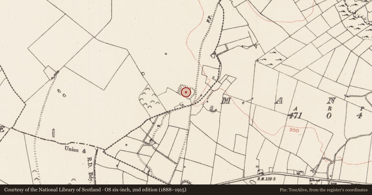 Ordnance Survey six-inch map, 2nd edition (1888–1915) covering the location of Moated site, Carns, County Roscommon, with a pin at the register's coordinates