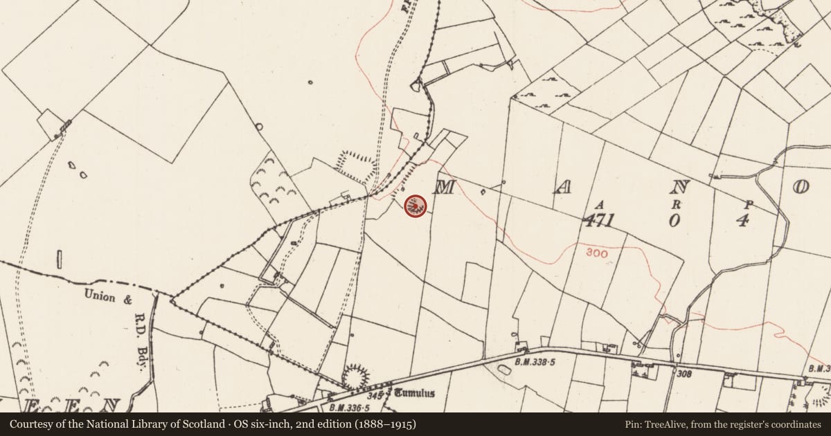 Ordnance Survey six-inch map, 2nd edition (1888–1915) covering the location of Ringfort - rath, Manor, County Roscommon, with a pin at the register's coordinates