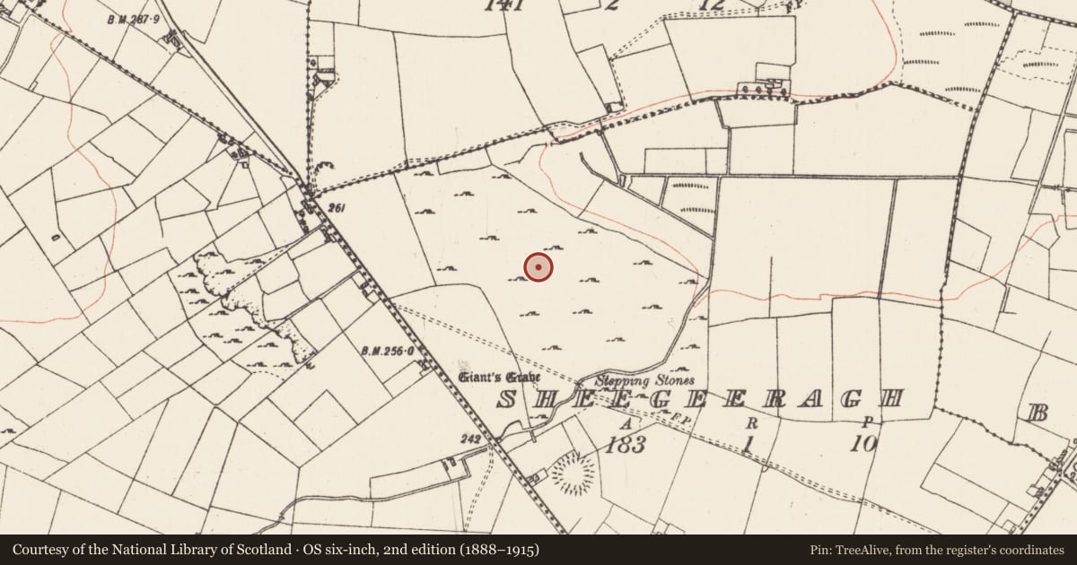 Ordnance Survey six-inch map, 2nd edition (1888–1915) covering the location of Cairn - unclassified, Sheegeeragh, County Roscommon, with a pin at the register's coordinates