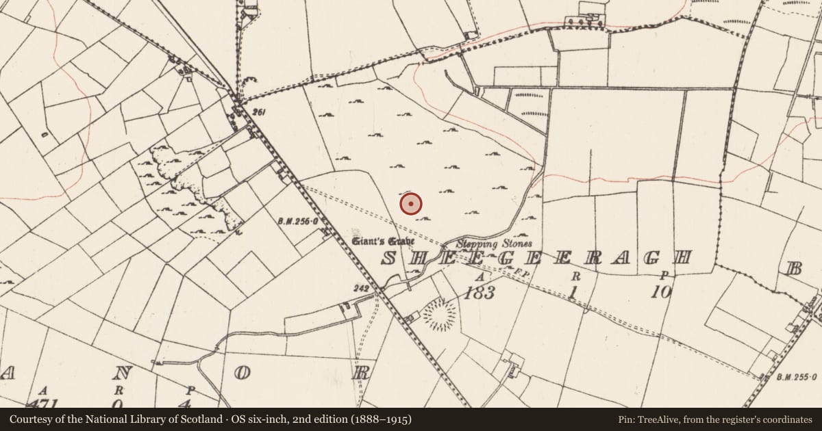 Ordnance Survey six-inch map, 2nd edition (1888–1915) covering the location of Megalithic tomb - passage tomb, Sheegeeragh, County Roscommon, with a pin at the register's coordinates