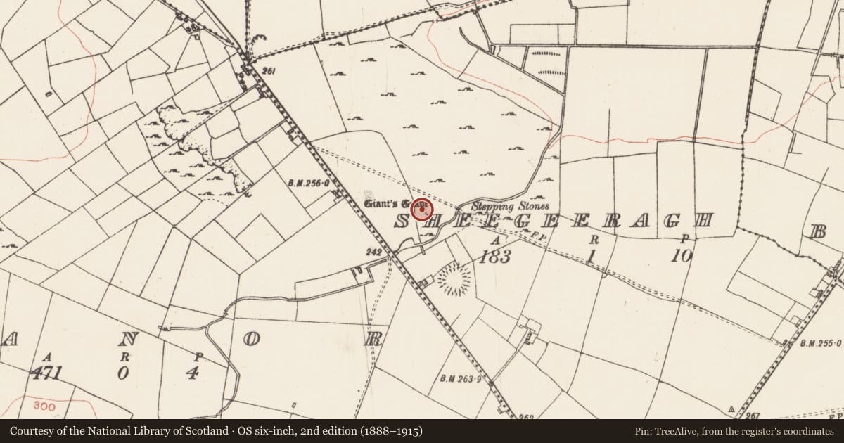 Ordnance Survey six-inch map, 2nd edition (1888–1915) covering the location of Megalithic tomb - passage tomb, Sheegeeragh, County Roscommon, with a pin at the register's coordinates