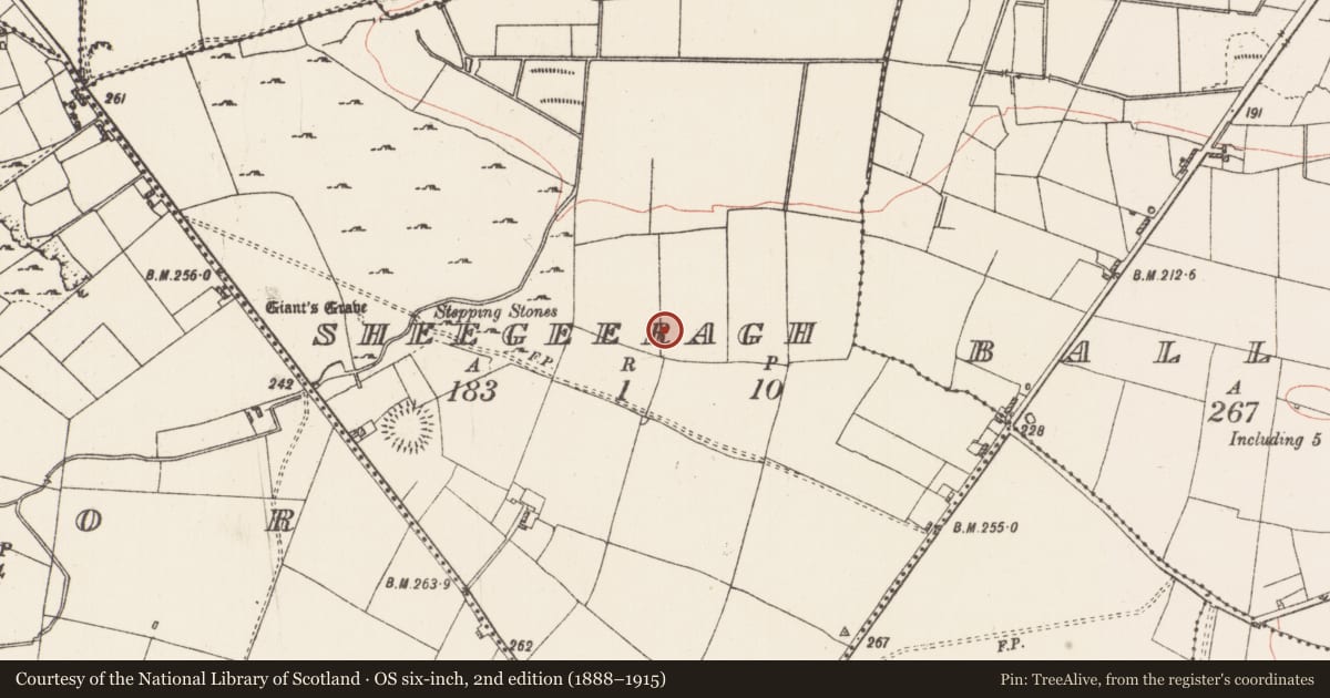 Ordnance Survey six-inch map, 2nd edition (1888–1915) covering the location of Ringfort - rath, Sheegeeragh, County Roscommon, with a pin at the register's coordinates