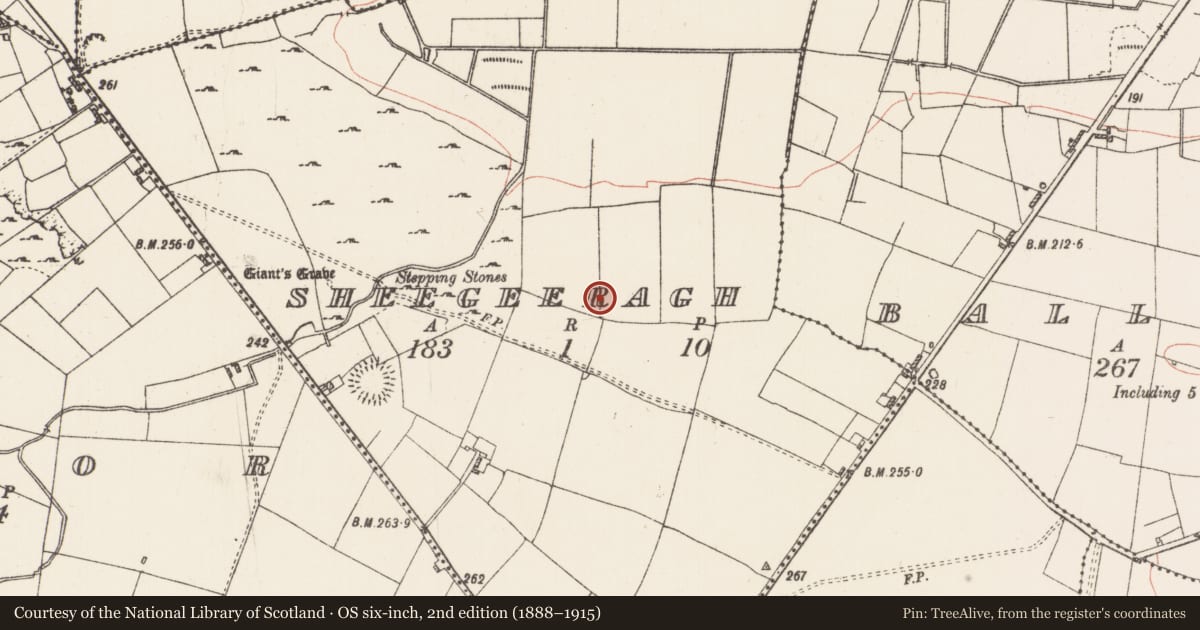 Ordnance Survey six-inch map, 2nd edition (1888–1915) covering the location of Souterrain, Sheegeeragh, County Roscommon, with a pin at the register's coordinates