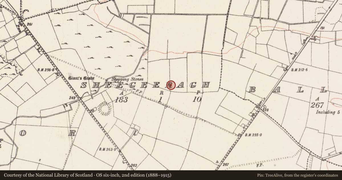Ordnance Survey six-inch map, 2nd edition (1888–1915) covering the location of Souterrain, Sheegeeragh, County Roscommon, with a pin at the register's coordinates
