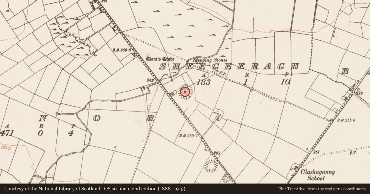 Ordnance Survey six-inch map, 2nd edition (1888–1915) covering the location of Ringfort - rath, Sheegeeragh, County Roscommon, with a pin at the register's coordinates