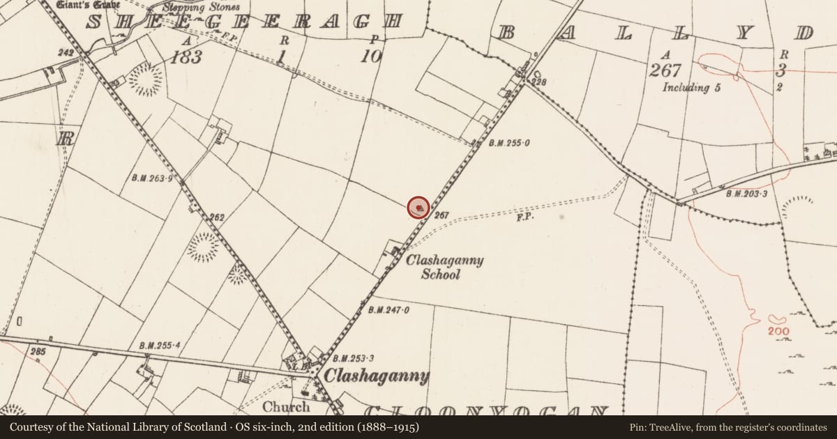 Ordnance Survey six-inch map, 2nd edition (1888–1915) covering the location of Barrow - mound barrow, Sheegeeragh, County Roscommon, with a pin at the register's coordinates