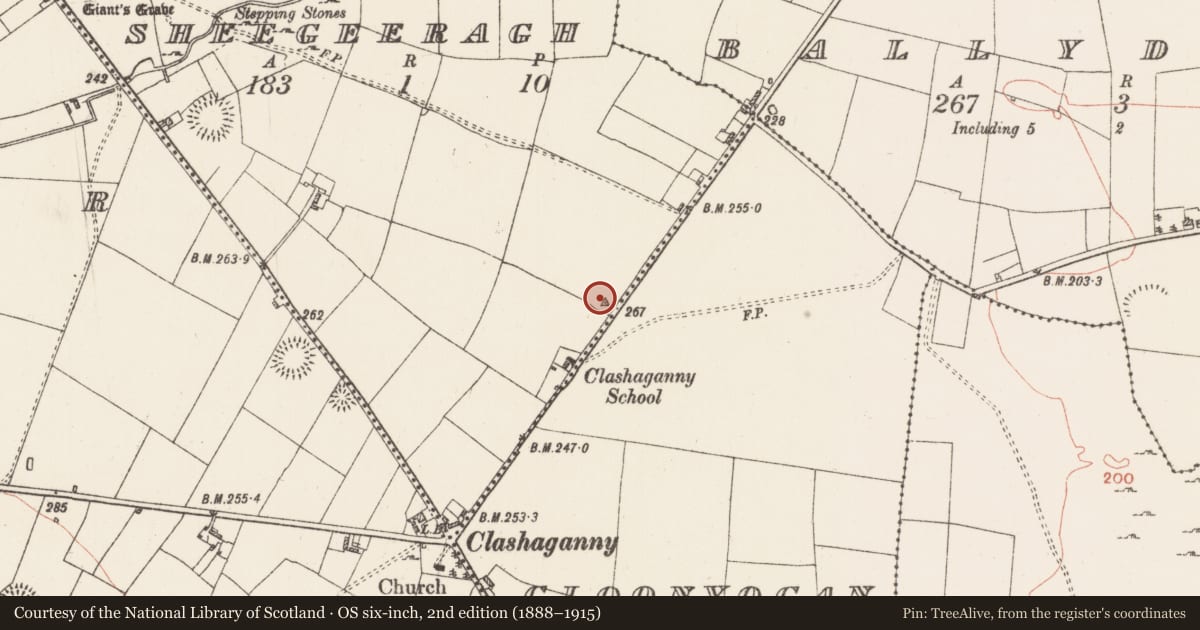 Ordnance Survey six-inch map, 2nd edition (1888–1915) covering the location of Cairn - clearance cairn, Sheegeeragh, County Roscommon, with a pin at the register's coordinates