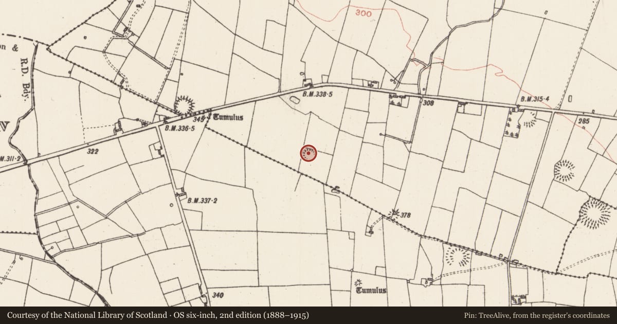 Ordnance Survey six-inch map, 2nd edition (1888–1915) covering the location of Ringfort - rath, Manor, County Roscommon, with a pin at the register's coordinates