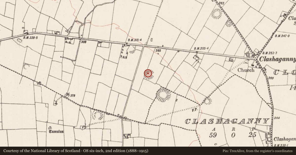 Ordnance Survey six-inch map, 2nd edition (1888–1915) covering the location of Ringfort - rath, Manor, County Roscommon, with a pin at the register's coordinates