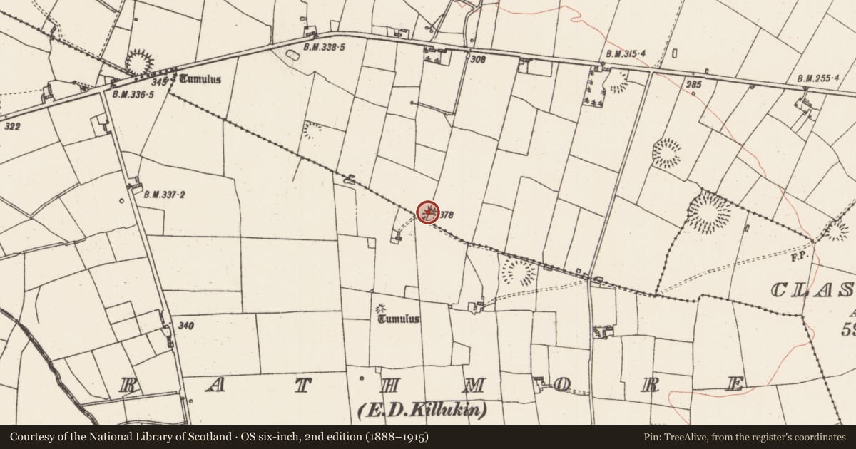 Ordnance Survey six-inch map, 2nd edition (1888–1915) covering the location of Barrow - mound barrow, Manor, County Roscommon, with a pin at the register's coordinates