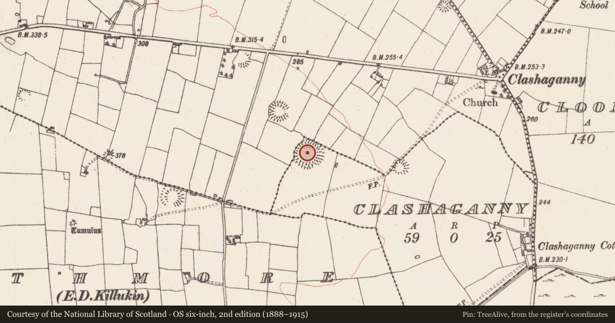 Ordnance Survey six-inch map, 2nd edition (1888–1915) covering the location of Ringfort - rath, Clashaganny, County Roscommon, with a pin at the register's coordinates