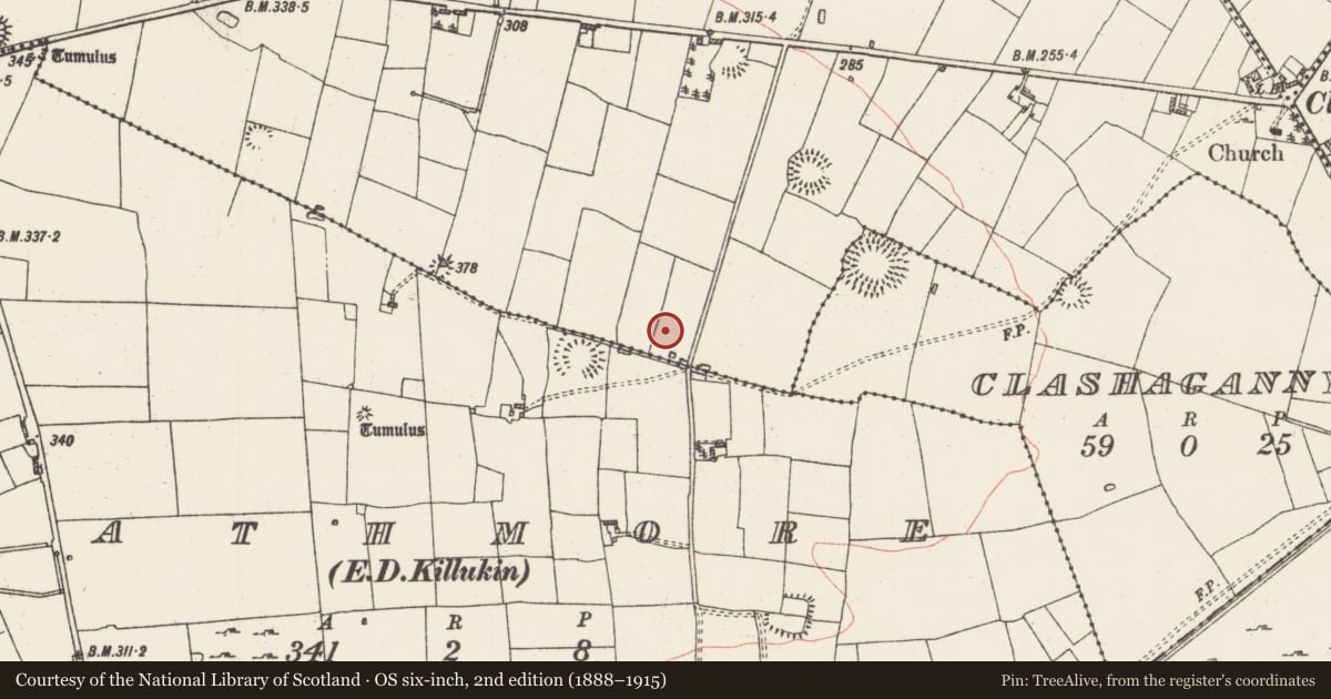 Ordnance Survey six-inch map, 2nd edition (1888–1915) covering the location of Ringfort - rath, Manor, County Roscommon, with a pin at the register's coordinates