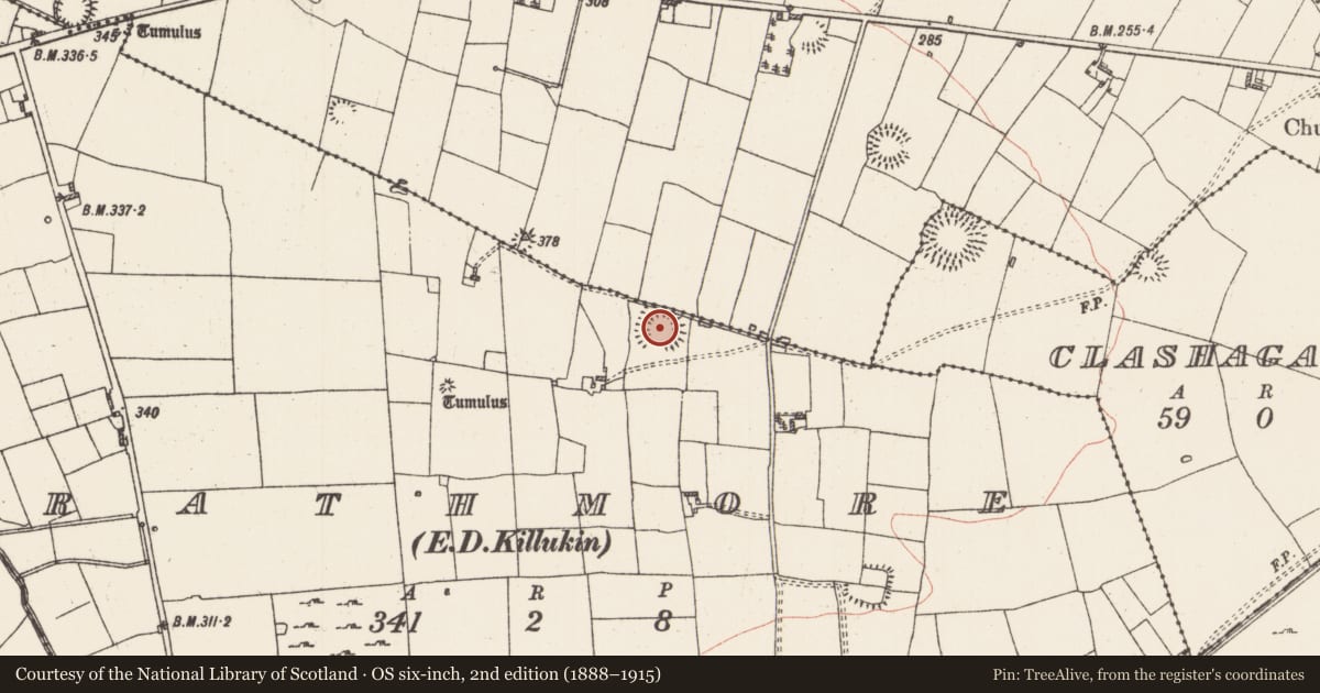 Ordnance Survey six-inch map, 2nd edition (1888–1915) covering the location of Ringfort - rath, Manor, Rathmore, County Roscommon, with a pin at the register's coordinates