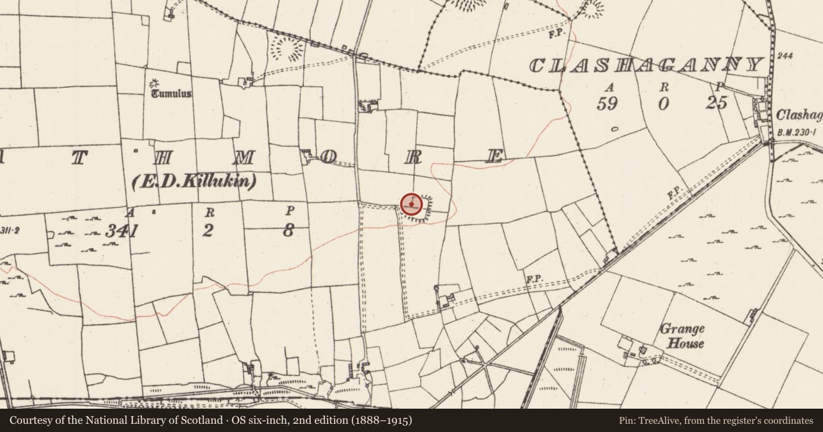 Ordnance Survey six-inch map, 2nd edition (1888–1915) covering the location of Enclosure, Rathmore, County Roscommon, with a pin at the register's coordinates