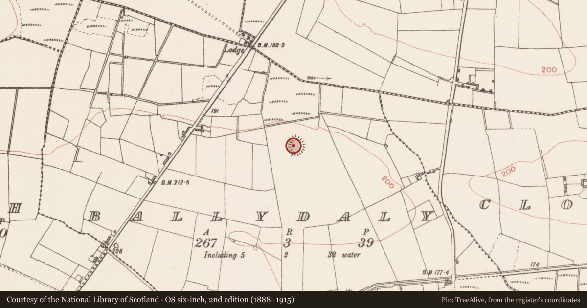 Ordnance Survey six-inch map, 2nd edition (1888–1915) covering the location of Ringfort - rath, Ballydaly, County Roscommon, with a pin at the register's coordinates