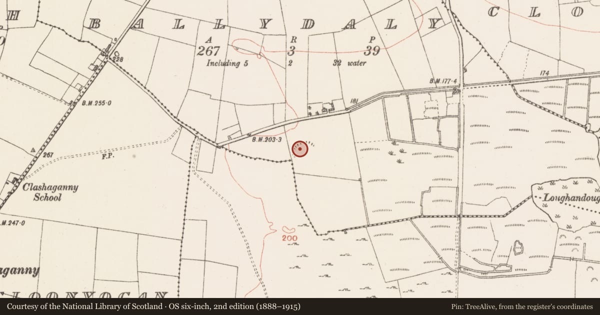 Ordnance Survey six-inch map, 2nd edition (1888–1915) covering the location of Quarry, Ballydaly, County Roscommon, with a pin at the register's coordinates