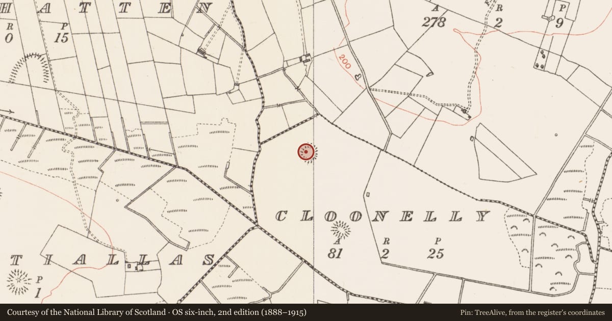 Ordnance Survey six-inch map, 2nd edition (1888–1915) covering the location of Ringfort - rath, Cloonelly, County Roscommon, with a pin at the register's coordinates