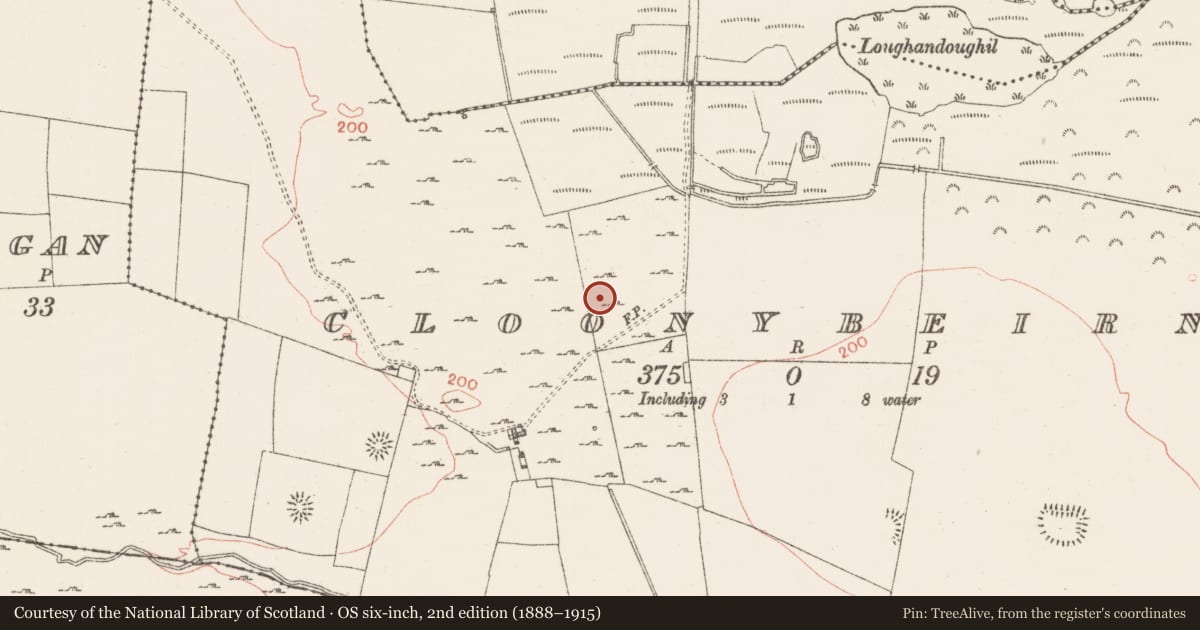 Ordnance Survey six-inch map, 2nd edition (1888–1915) covering the location of Castle - unclassified, Cloonybeirne, County Roscommon, with a pin at the register's coordinates