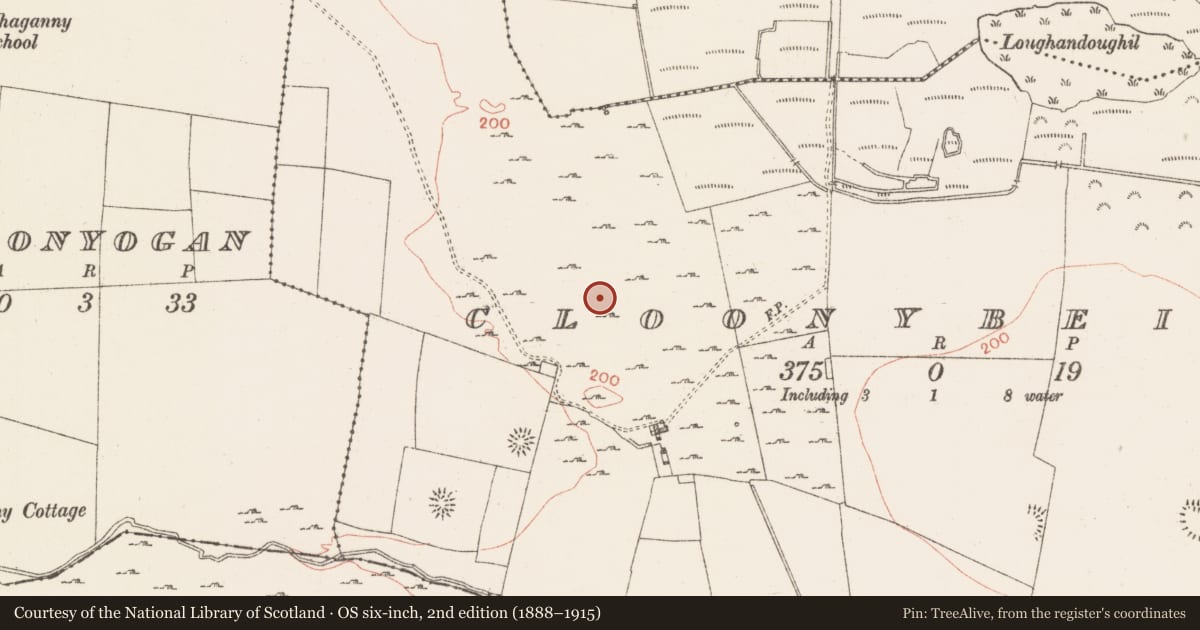 Ordnance Survey six-inch map, 2nd edition (1888–1915) covering the location of Field system, Cloonybeirne, County Roscommon, with a pin at the register's coordinates
