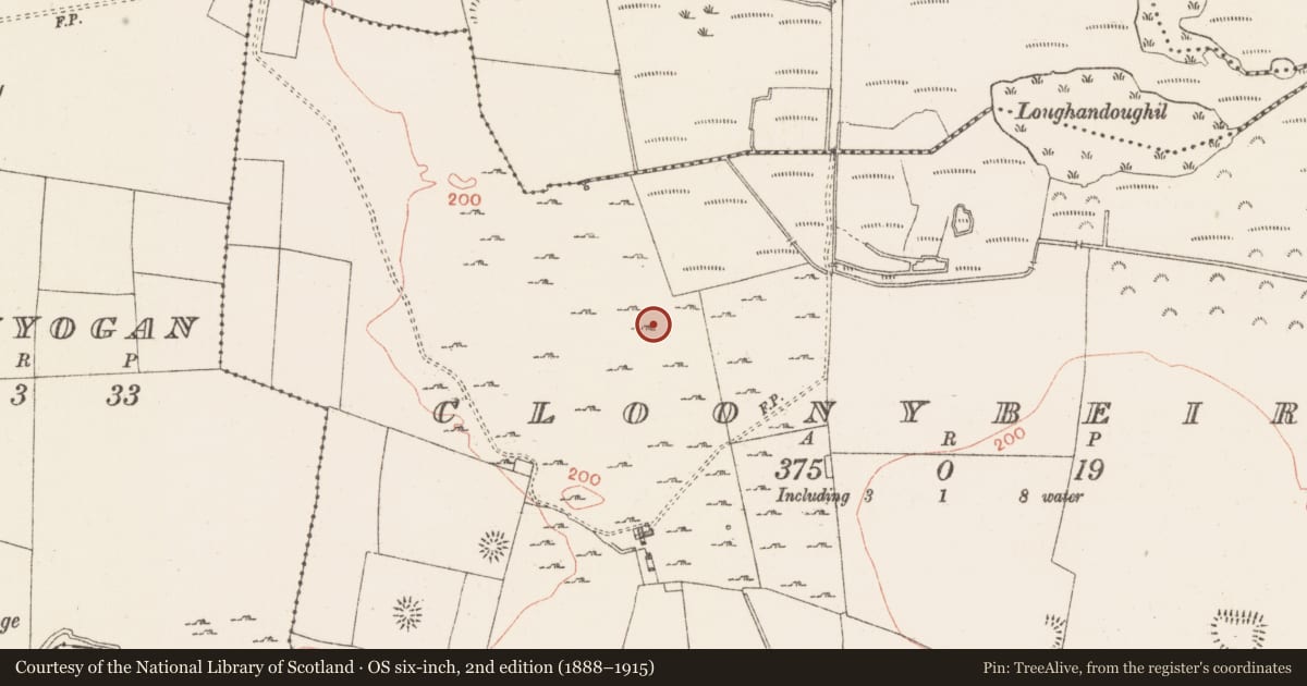 Ordnance Survey six-inch map, 2nd edition (1888–1915) covering the location of House - indeterminate date, Cloonybeirne, County Roscommon, with a pin at the register's coordinates