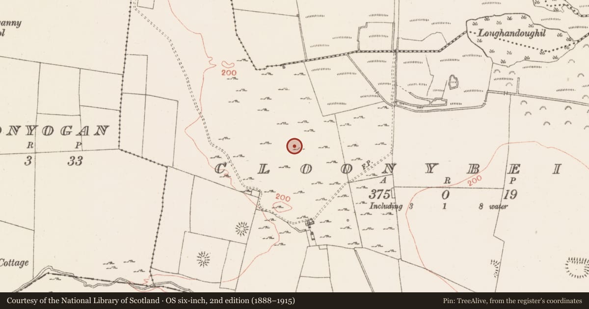 Ordnance Survey six-inch map, 2nd edition (1888–1915) covering the location of House - indeterminate date, Cloonybeirne, County Roscommon, with a pin at the register's coordinates