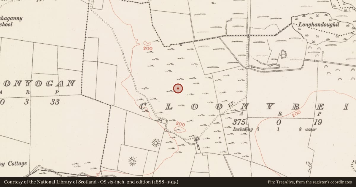 Ordnance Survey six-inch map, 2nd edition (1888–1915) covering the location of House - indeterminate date, Cloonybeirne, County Roscommon, with a pin at the register's coordinates