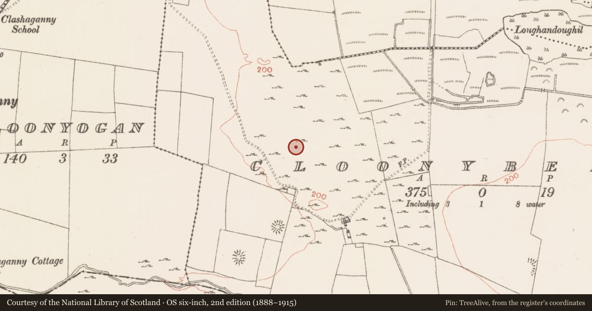 Ordnance Survey six-inch map, 2nd edition (1888–1915) covering the location of House - indeterminate date, Cloonybeirne, County Roscommon, with a pin at the register's coordinates