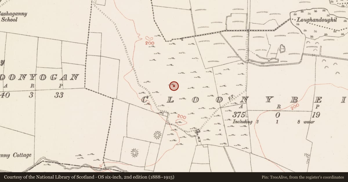Ordnance Survey six-inch map, 2nd edition (1888–1915) covering the location of House - indeterminate date, Cloonybeirne, County Roscommon, with a pin at the register's coordinates