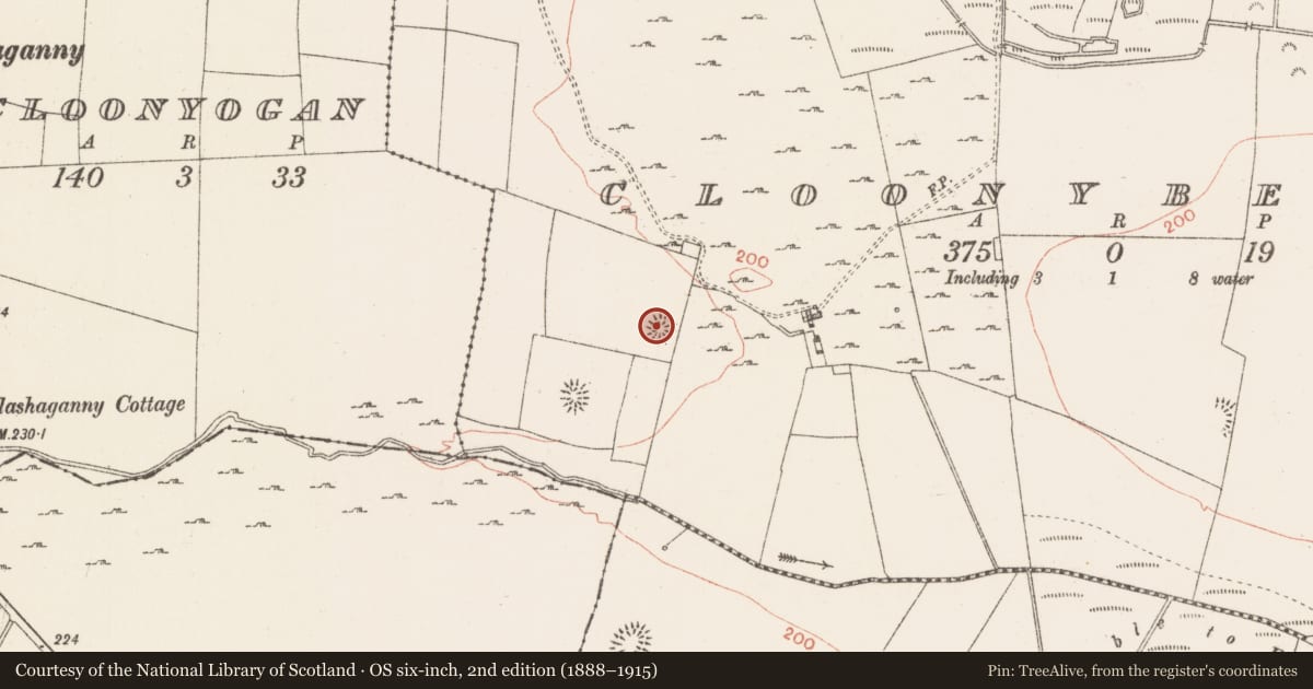 Ordnance Survey six-inch map, 2nd edition (1888–1915) covering the location of Ringfort - rath, Cloonybeirne, County Roscommon, with a pin at the register's coordinates