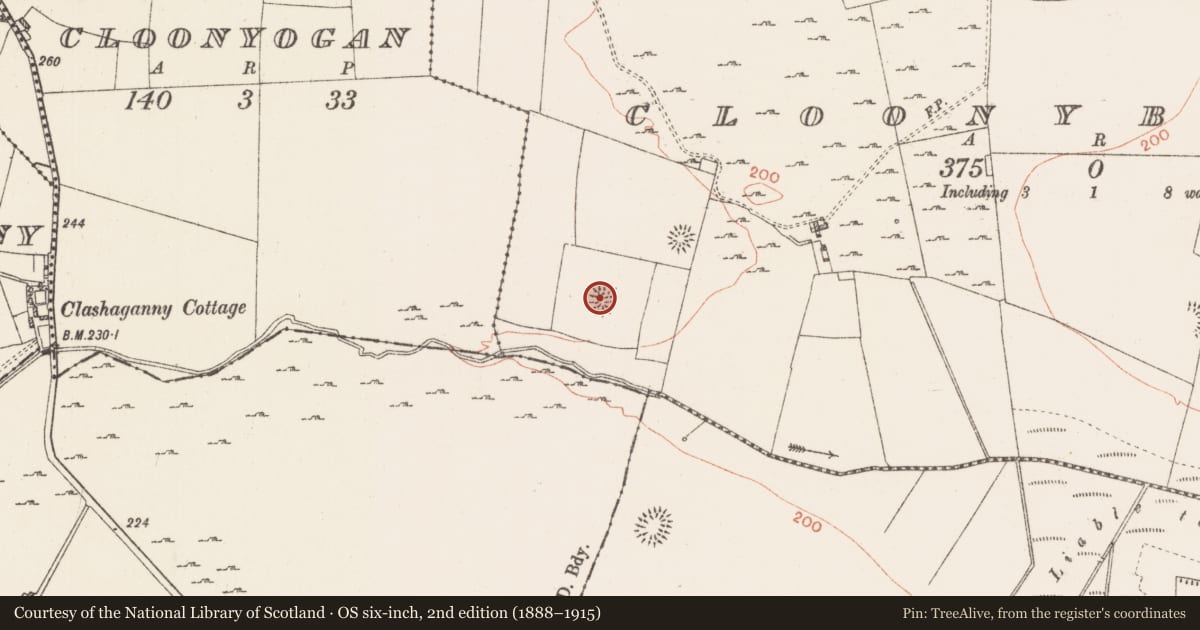 Ordnance Survey six-inch map, 2nd edition (1888–1915) covering the location of Earthwork, Cloonybeirne, County Roscommon, with a pin at the register's coordinates