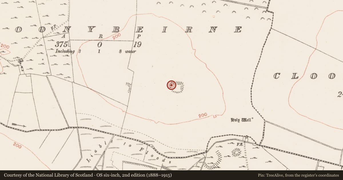 Ordnance Survey six-inch map, 2nd edition (1888–1915) covering the location of Ringfort - rath, Cloonybeirne, County Roscommon, with a pin at the register's coordinates