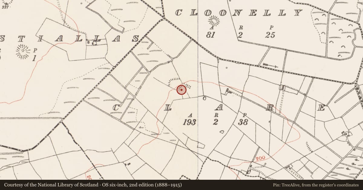 Ordnance Survey six-inch map, 2nd edition (1888–1915) covering the location of Ringfort - rath, Clare, County Roscommon, with a pin at the register's coordinates