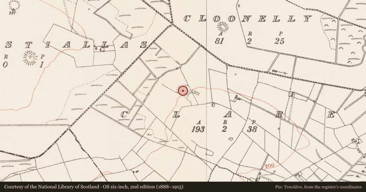 Ordnance Survey six-inch map, 2nd edition (1888–1915) covering the location of Enclosure, Clare, County Roscommon, with a pin at the register's coordinates