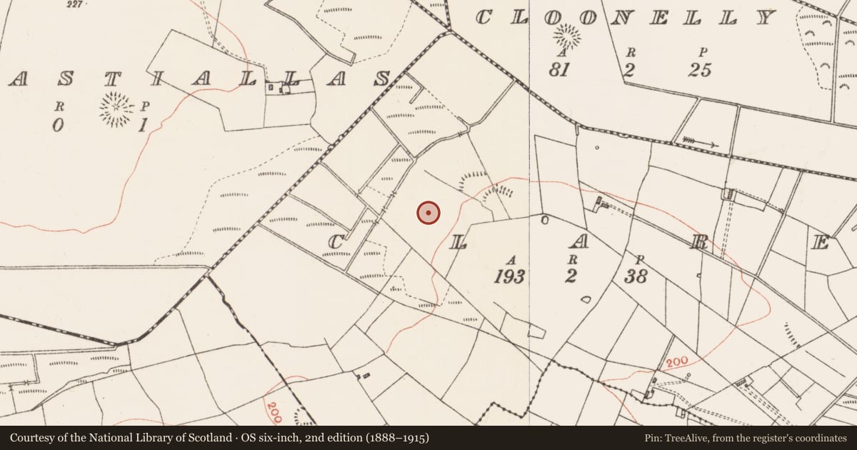 Ordnance Survey six-inch map, 2nd edition (1888–1915) covering the location of Pitfield, Clare, County Roscommon, with a pin at the register's coordinates